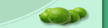 Best Margarita Mix - Margarita Mix Tequila - Margarita Mixes